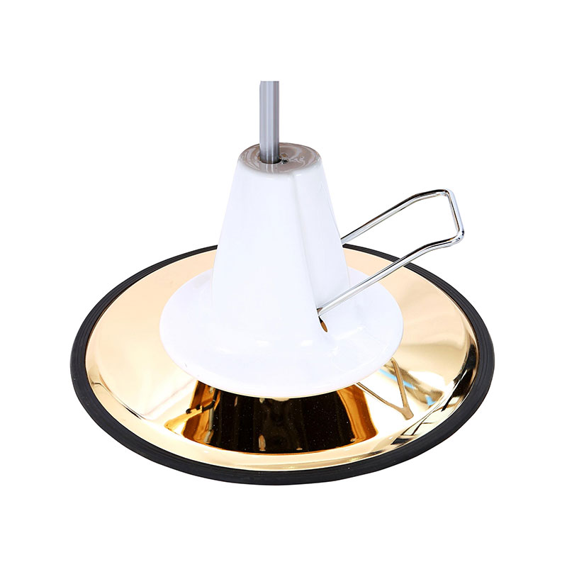 HZ22DG Vintage barberstol hydraulisk pumpe med gullbase