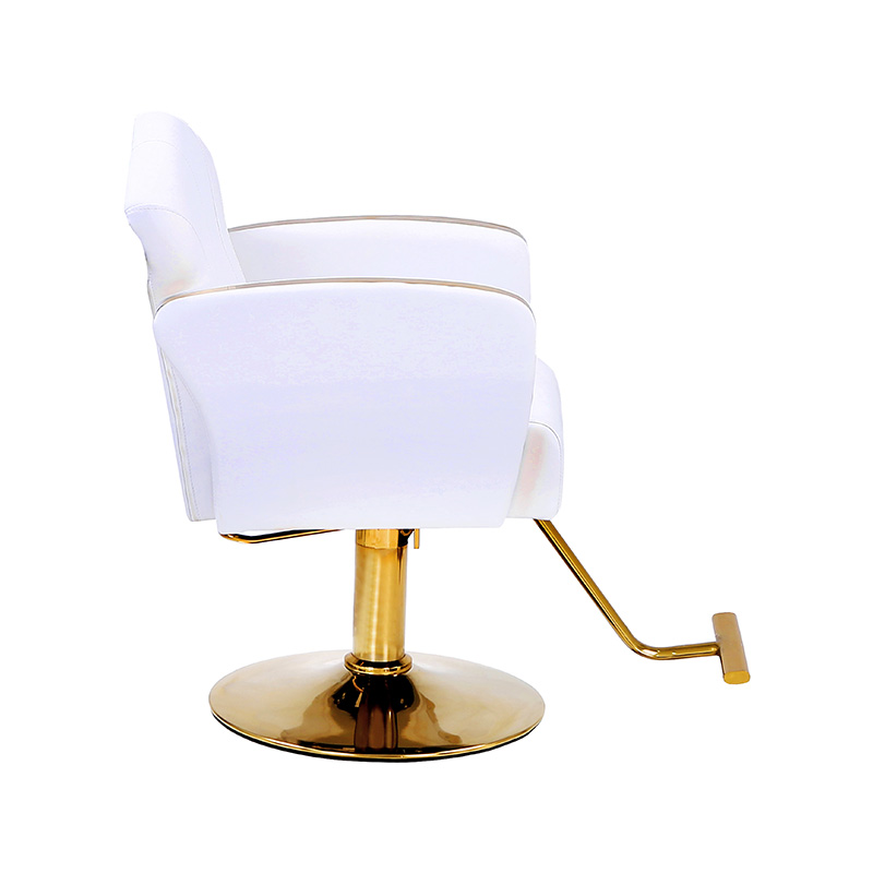 HZ8808 / HZ8808W Auty salong styling stoler